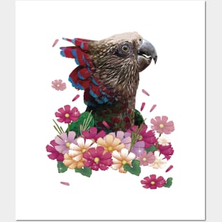 hawk-headed parrot Posters and Art